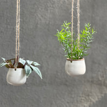 Load image into Gallery viewer, WHEATEN HANGING BUDS | SET OF 2