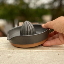 Load image into Gallery viewer, CITRUS NOTES JUICER GIFT BOX