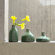 Load image into Gallery viewer, BUD VASES | SET OF 3 | GIFT BOX