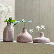 Load image into Gallery viewer, BUD VASES | SET OF 3 | GIFT BOX
