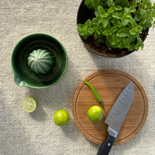 Load image into Gallery viewer, EMERALD FRUIT JUICER