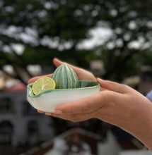 Load image into Gallery viewer, EMERALD FRUIT JUICER