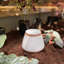 Load image into Gallery viewer, BHOOMI: HYDRATING JAR
