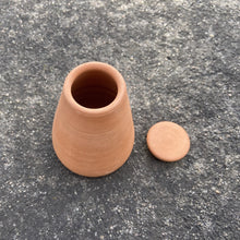 Load image into Gallery viewer, DHARAK & SHANKHU: PLANT BOWL & HYDRATING CAPSULE