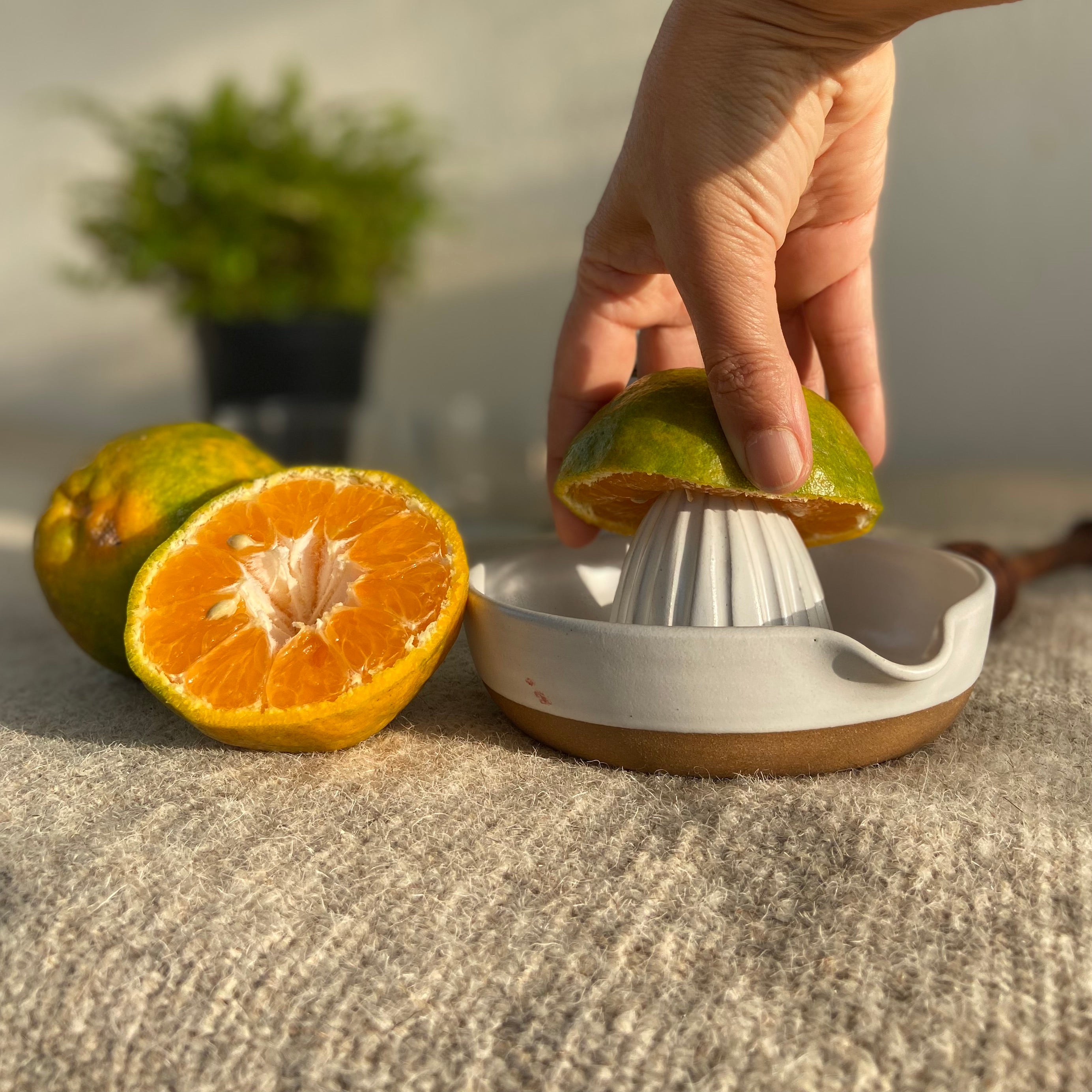 Living Nostalgia Citrus squeezer - Kitchen Craft LNJUICERCRE