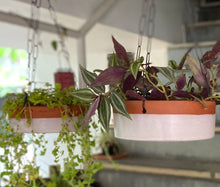 Load image into Gallery viewer, NEERAVARI HANGING POTS