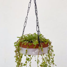 Load image into Gallery viewer, NEERAVARI HANGING POTS