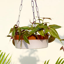 Load image into Gallery viewer, NEERAVARI HANGING POTS