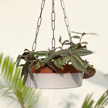Load image into Gallery viewer, NEERAVARI HANGING POTS