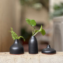 Load image into Gallery viewer, BUD VASES | SET OF 3 | GIFT BOX