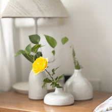 Load image into Gallery viewer, BUD VASES | SET OF 3
