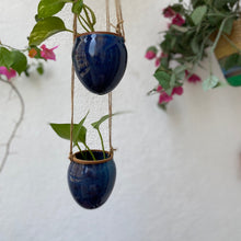 Load image into Gallery viewer, CERULEAN HANGING BUDS | SET OF 2
